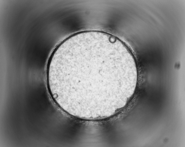 X0000103941088200810101411