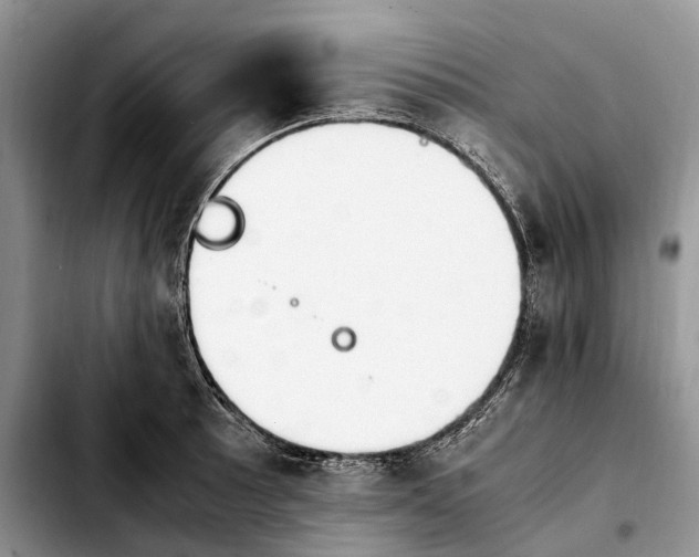 X0000103941089200810101411