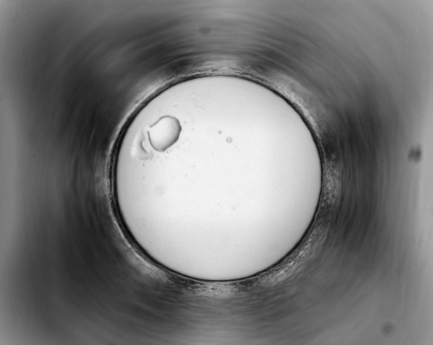 X0000103941090200810101411