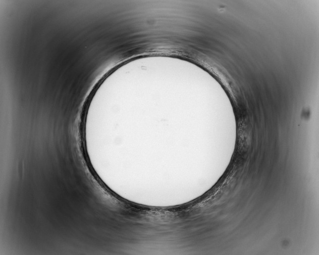 X0000103941091200810101411