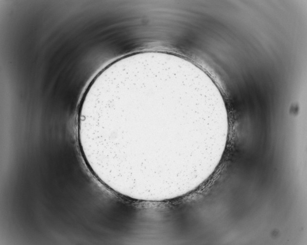 X0000103941092200810101411