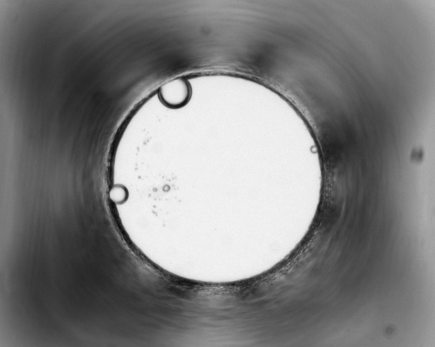 X0000103941093200810101411