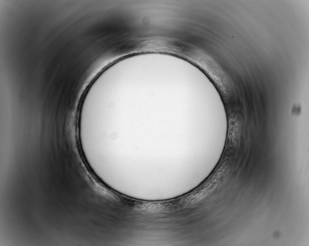 X0000103941094200810101411