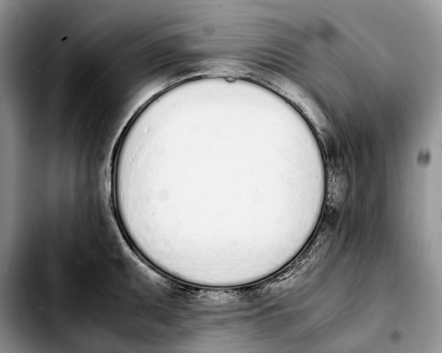 X0000103941095200810101411