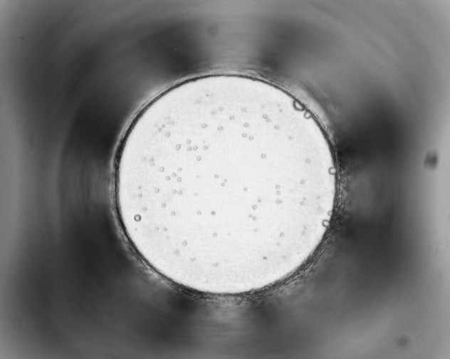 X0000103941096200810101411