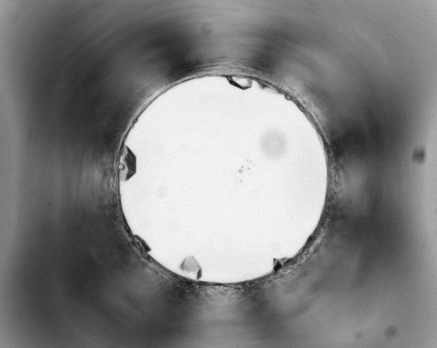 X0000103941097200810101411