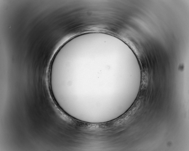 X0000103941098200810101411