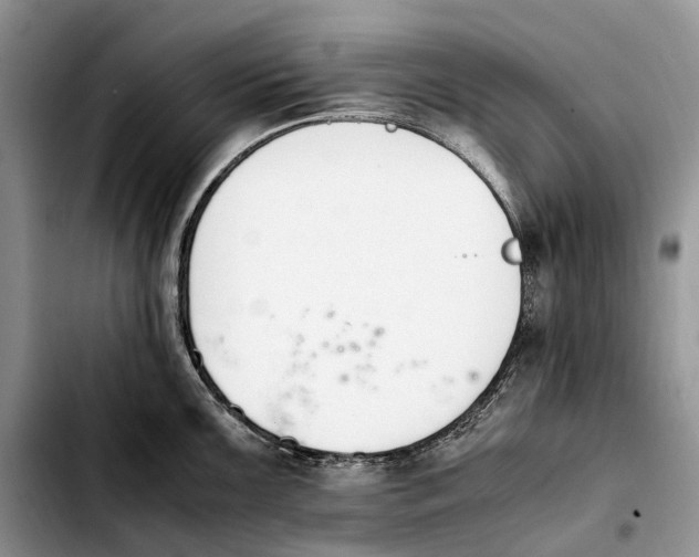 X0000103941099200810101410