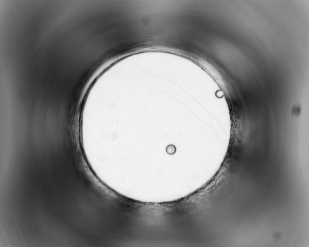 X0000103941100200810101410