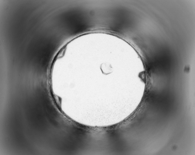 X0000103941101200810101410