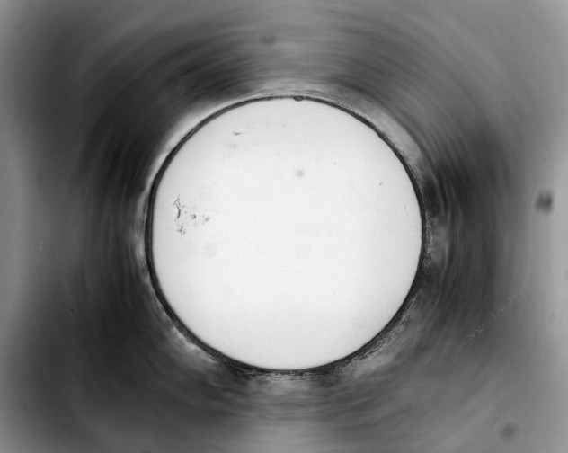 X0000103941102200810101410