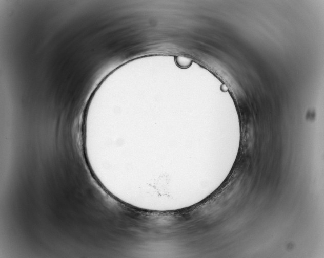 X0000103941103200810101410