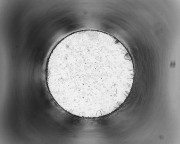 X0000103941104200810101410