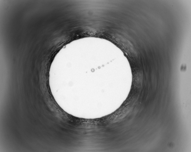 X0000103941105200810101410