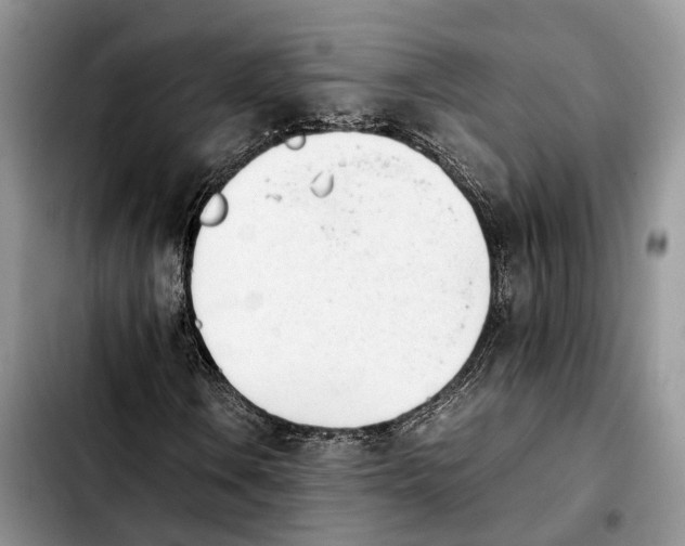 X0000103941106200810101410