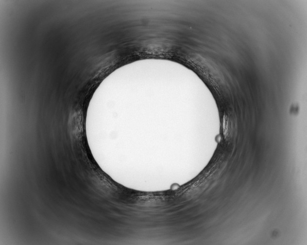 X0000103941107200810101410