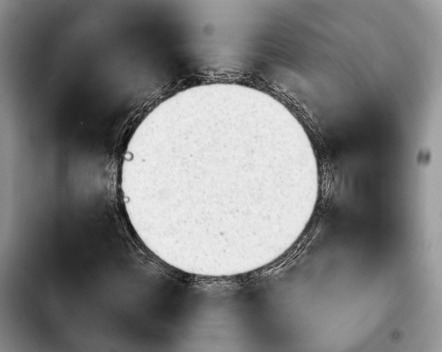 X0000103941108200810101410