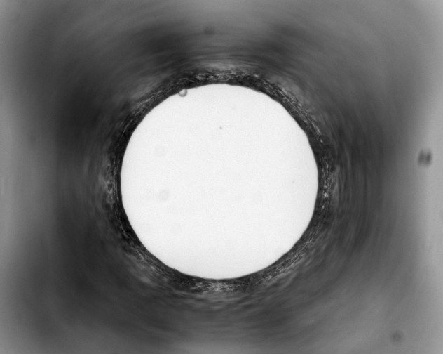 X0000103941109200810101410