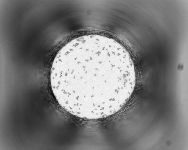 X0000103941110200810101410