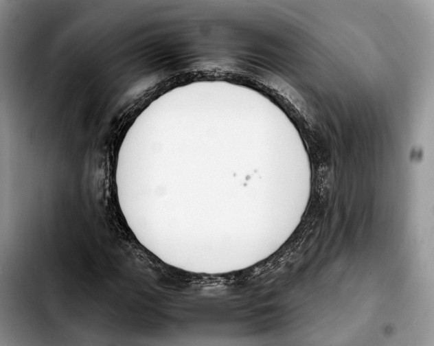 X0000103941111200810101410