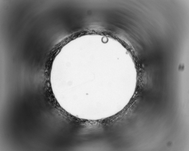 X0000103941112200810101410