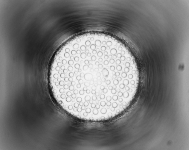 X0000103941113200810101410