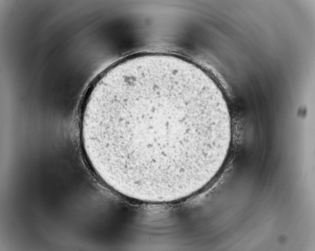 X0000103941114200810101410