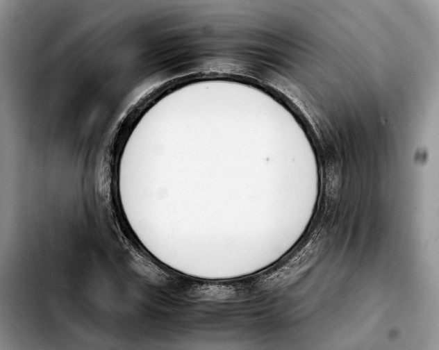 X0000103941115200810101410