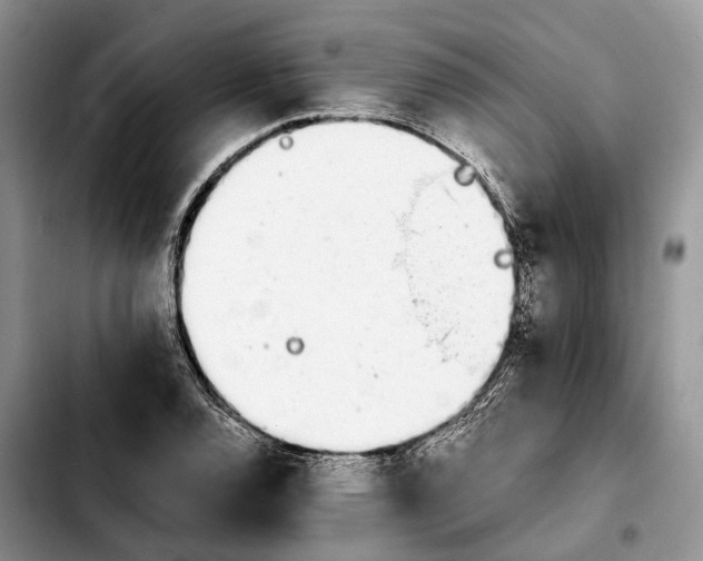 X0000103941120200810101410