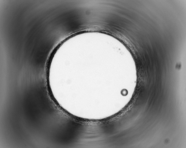 X0000103941122200810101410