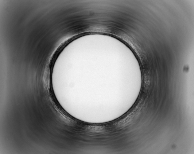 X0000103941123200810101410