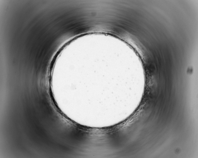 X0000103941124200810101410