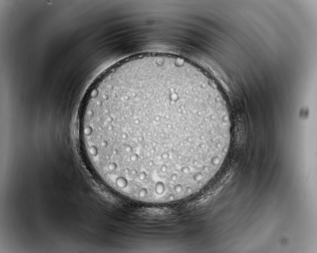 X0000103941125200810101410