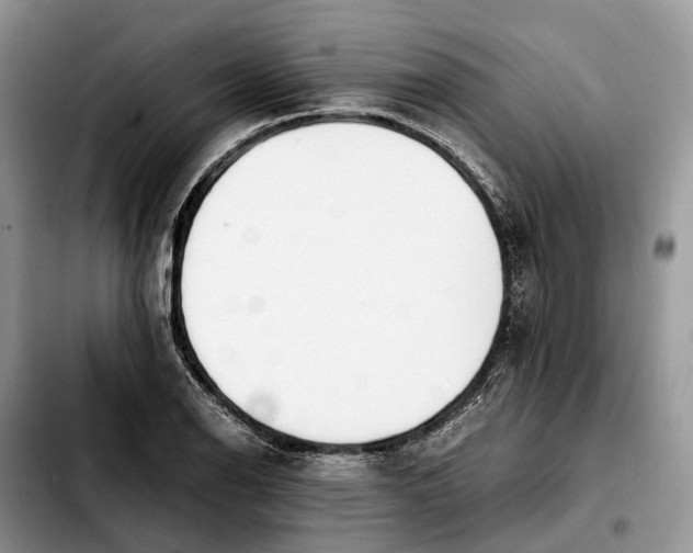 X0000103941126200810101410