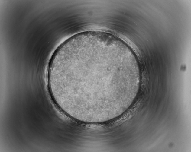 X0000103941128200810101410