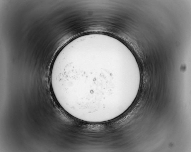 X0000103941129200810101410