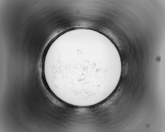 X0000103941130200810101410