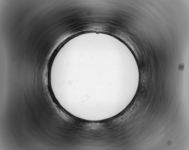 X0000103941131200810101410