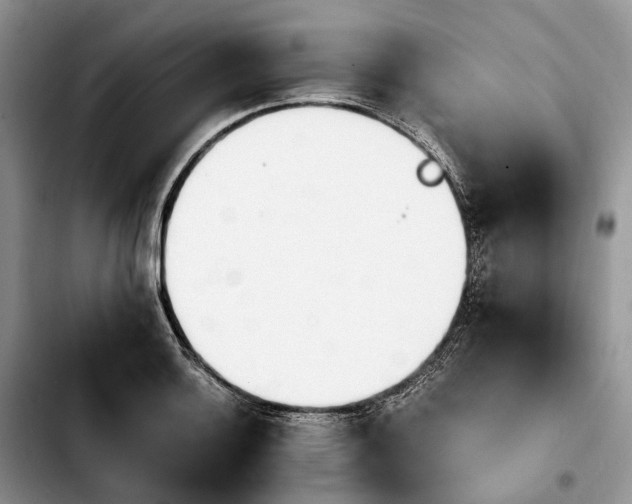 X0000103941132200810101410