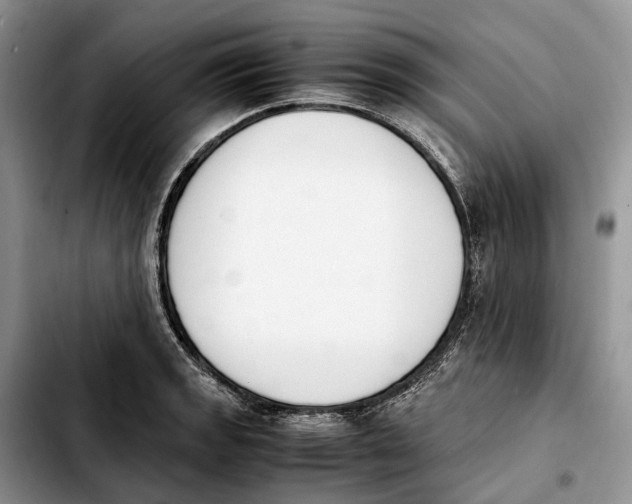 X0000103941133200810101410