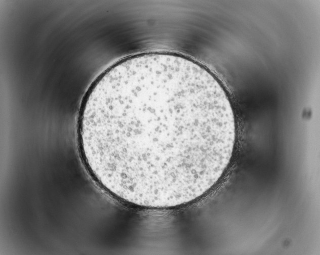 X0000103941134200810101410