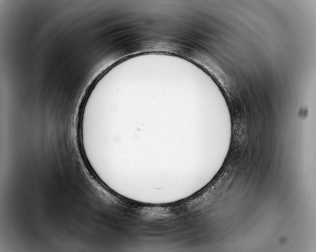 X0000103941135200810101410