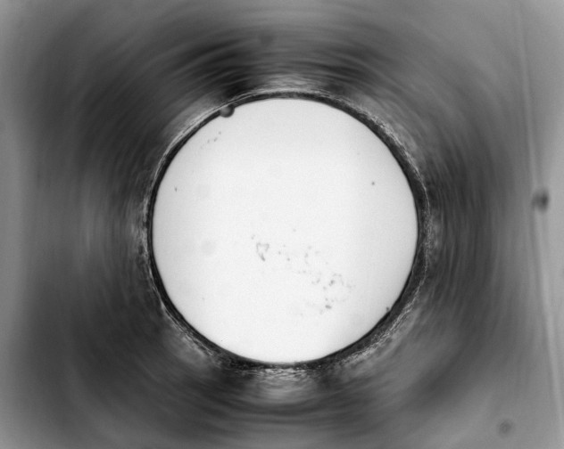 X0000103941137200810101410