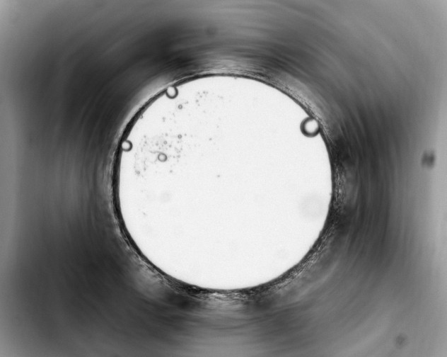 X0000103941138200810101410