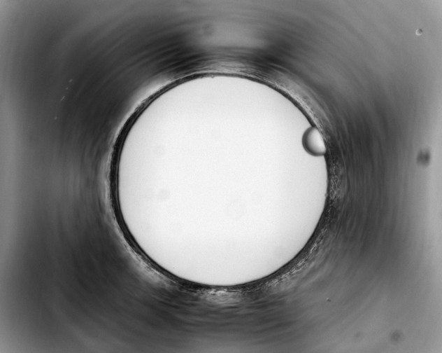 X0000103941139200810101410