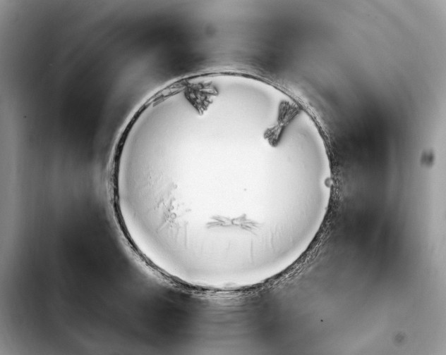 X0000103941140200810101410