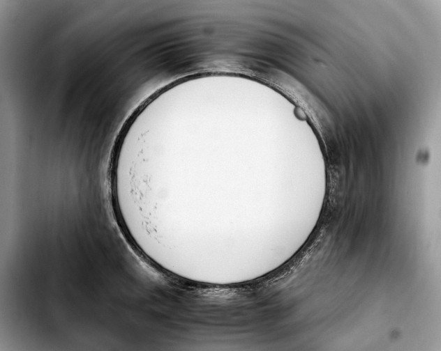 X0000103941141200810101410