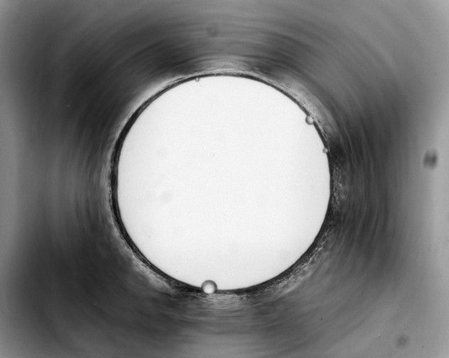 X0000103941142200810101410