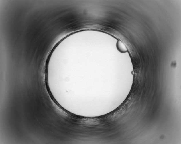 X0000103941143200810101410