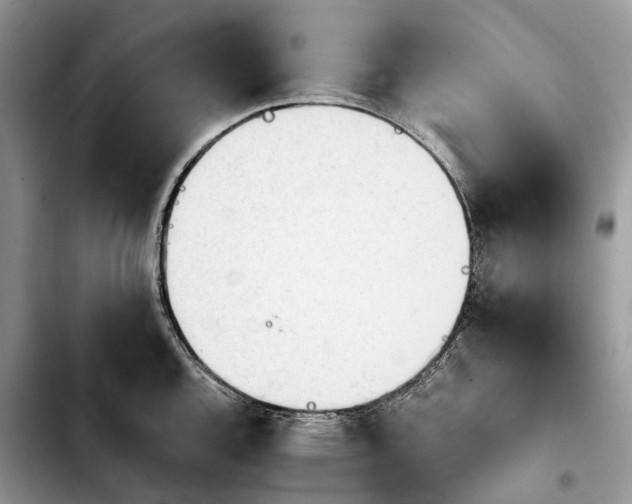 X0000103941144200810101410